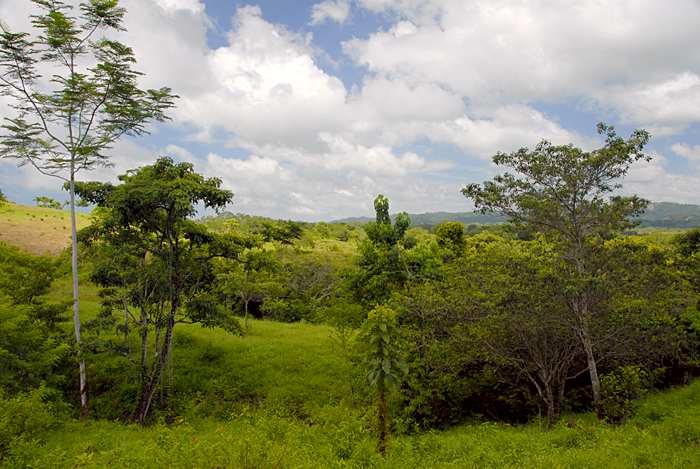 Montezuma Real Estate Lot #3