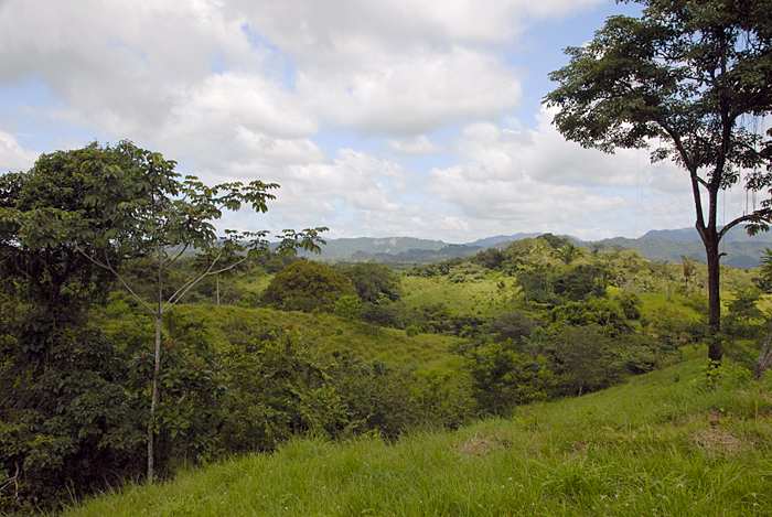 Montezuma Real Estate Lot #4