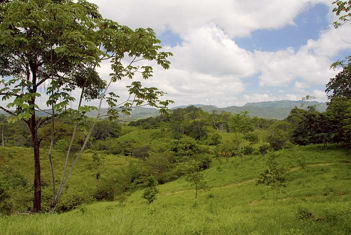 Montezuma Real Estate Lot #5