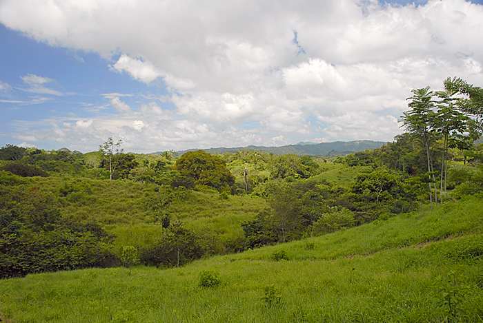 Montezuma Real Estate Lot #6