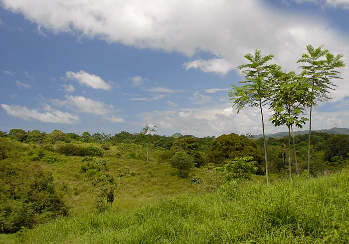 Montezuma Real Estate Lot #7