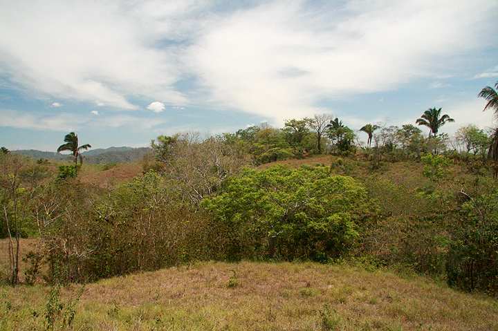 Montezuma Real Estate Community Lot