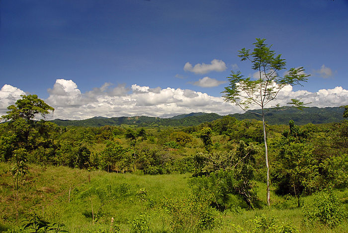 Montezuma Real Estate Lot #1