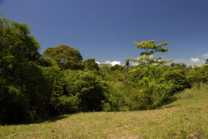 Montezuma Real Estate Lot #10