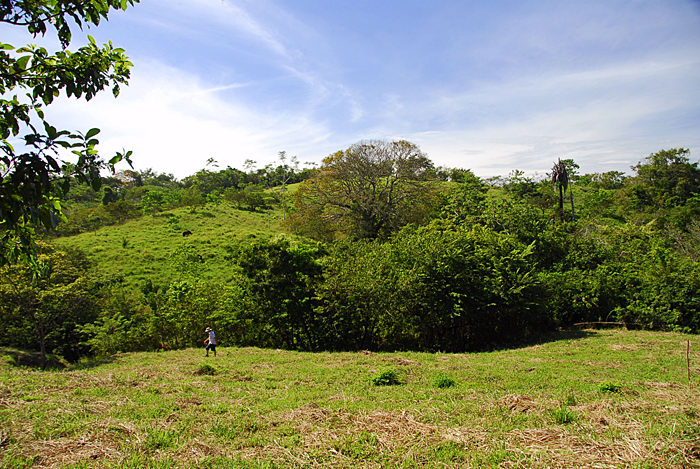 Montezuma Real Estate Lot #11