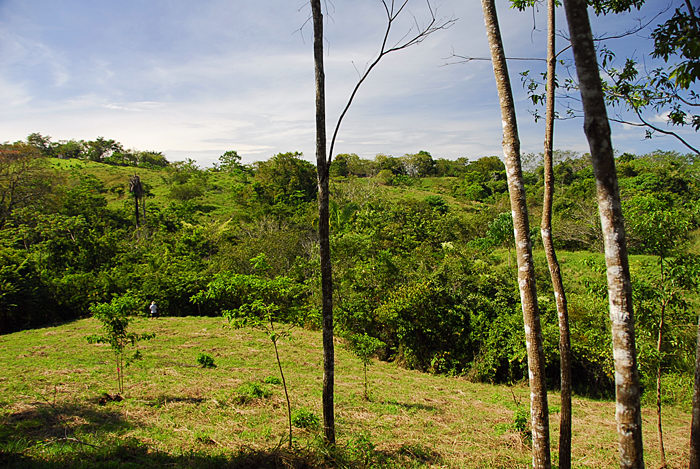 Montezuma Real Estate Lot #13