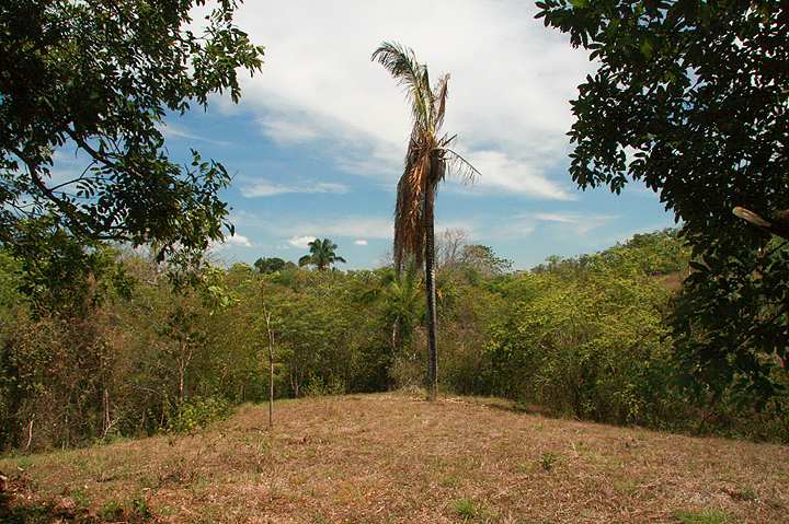 Montezuma Real Estate Lot #18