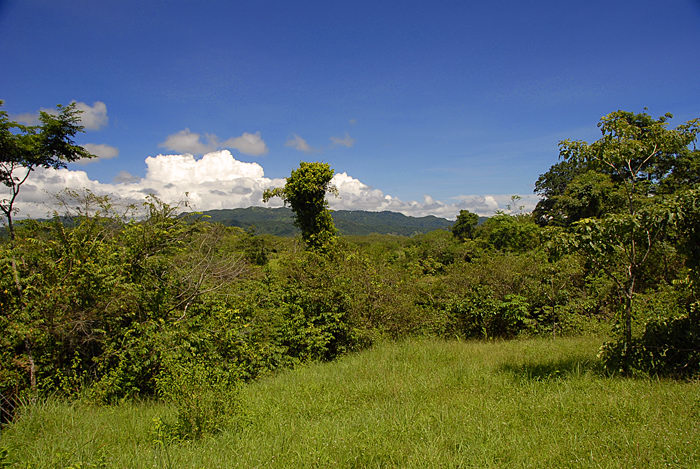 Montezuma Real Estate Lot #2