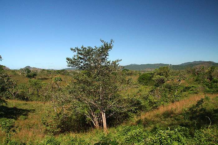 Montezuma Real Estate Lot #3