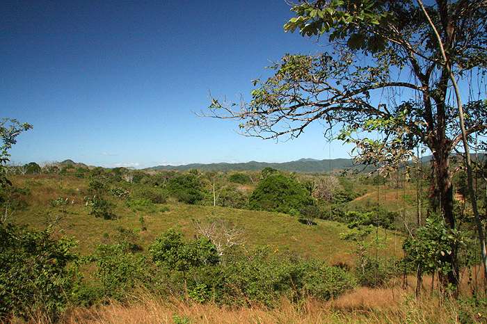Montezuma Real Estate Lot #4