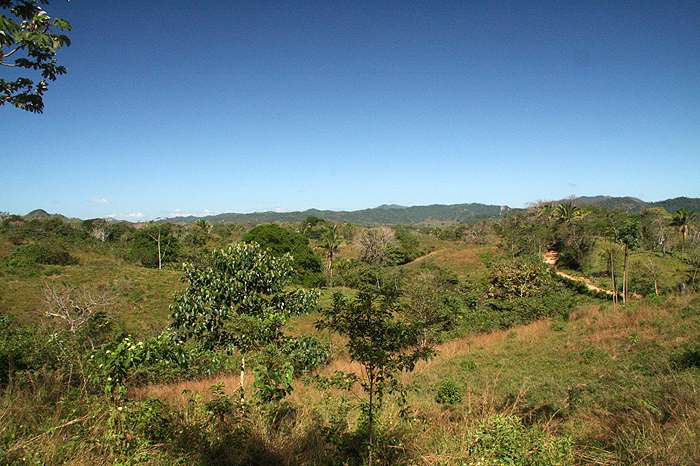 Montezuma Real Estate Lot #5