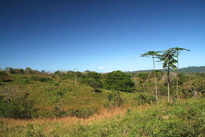 Montezuma Real Estate Lot #6