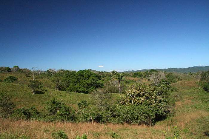 Montezuma Real Estate Lot #7