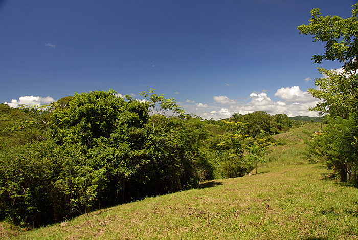 Montezuma Real Estate Lot #9