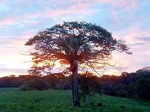 Pura Vida Sunsets Eco Village