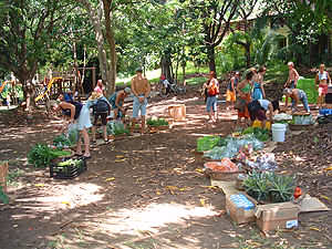 The organic market, weekly in Montezuma at 10 a.m. every Saturday Morning